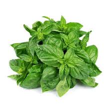 Basil 250 Gms
